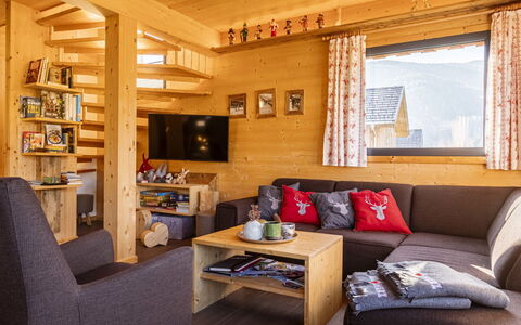Feriebolig:&nbsp;Superior #55 mit Ir-Sauna 20.16