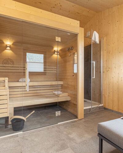 Premium #62 mit Sauna&Sprudelbad 20.7