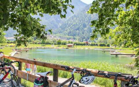 Chalet Spatn: Cykel, Hjul, Vand, Plante, Cykelhjul