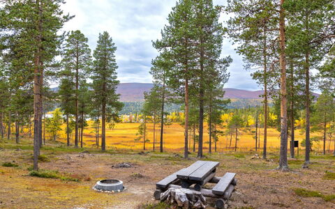 Villa Taiga: Møbel, Stol, Udendørs Møbler, Bord, Træ, Udendørs Bord, Køkken & Spisebord, Skygge, Have, Paraply