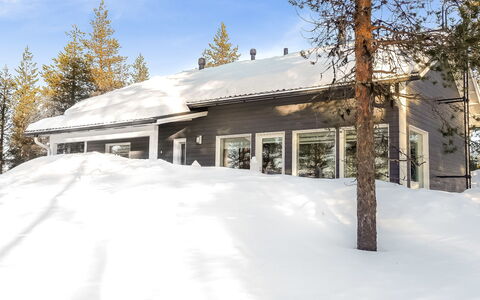 Villa Taiga: Møbel, Stol, Udendørs Møbler, Bord, Træ, Udendørs Bord, Køkken & Spisebord, Skygge, Have, Paraply