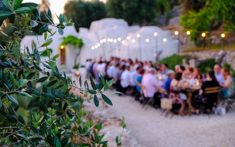 Corte dei Messapi | Sleeps 24: Plante, Blad, Botanik, Græs, Fritid, Vedplante, Træ, Morgen, Sommer, Blomst