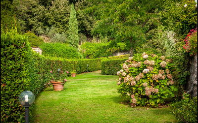 Orto Degli Olivi Proprietà