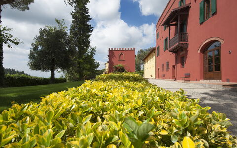 Tenuta Cambiano: Blomst, Gul, Naturlige Landskab, Ejendom, Plante, Have, Botanik, Plantation, Forår, Ejendom