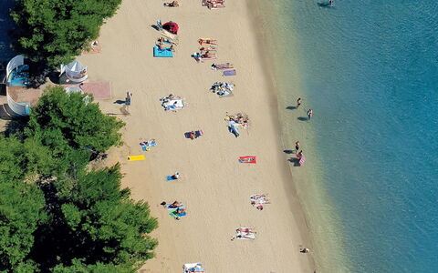 Ivanka: Strand, Luftfotografering, Sand, Træ, Fotografering, Verden, Kyst, Landskab, Coastal Og Oceaniske Landskabsformer, Fritid