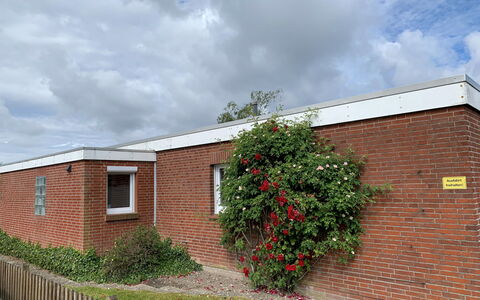 Kotthaus: Ejendom, Ejendom, Hus, Hjem, Boligområde, Væg, Mursten, Bygning, Tag, Murværk