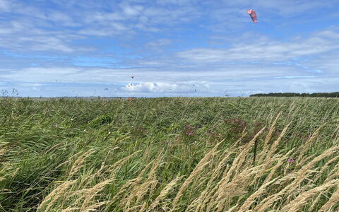 Helene: Sky, Himmel, Plante, Horisont, Naturlige Landskab, Landbrug, Græs, Almindeligt, Landskab, Eng