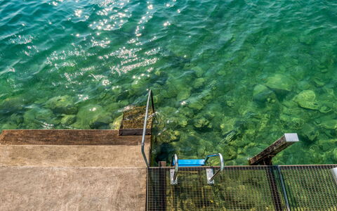 Seestern Direkt am See: Vand, Grøn, Hav, Ocean, Net, Kyst, Ferie, Plante, Fritid, Bølge
