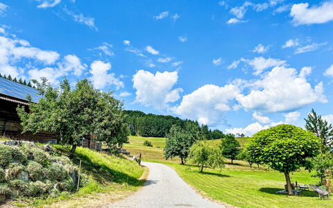 Hofstetten 650: Blå, Grøn, Græs, Natur, Naturlige Landskab, Sky, Sommer, Landskab, Busk