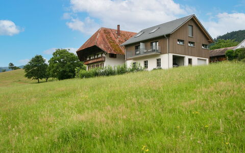 Hofstetten 650