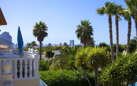 Calpe Calp 463: Træ, Ferie, Vedplante, Fritid, Skygge, Tropics, Eco Hotel, Udvej
