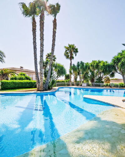 Calpe Calp 463