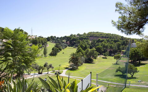 Bernia Golf: Vegetationen, Botanisk Have, Have, Botanik, Sport Venue, Træ, Græs, Plantation, Græsfamilien, Plante