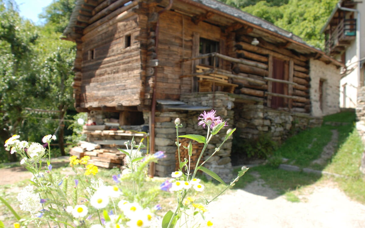 Rustico Rudico