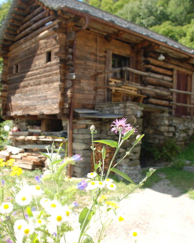 Rustico Rudico