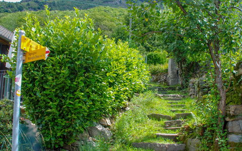 Rustico Ca' Di Garoi: Vegetationen, Naturreservat, Træ, Plante, Botanik, Biome, Blomst, Sti, Blad, Have