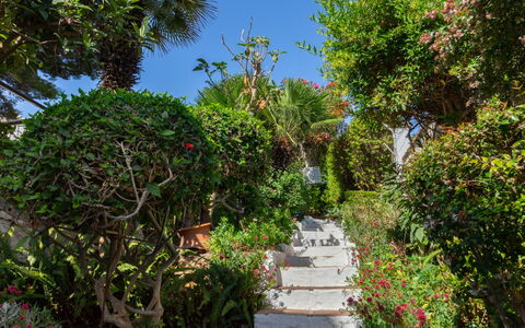 La Dorada: Vegetationen, Have, Ejendom, Botanisk Have, Træ, Botanik, Himmel, Ejendom, Walkway, Plante
