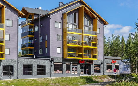 Levin Kunkku C11: Sne, Vinter, Træ, Sommerhus, Hus, Tag, Hytte, Hjem, Fryser, Bjælkehytte