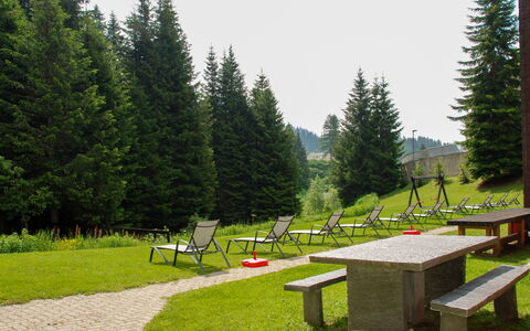 Panorama View 905: Natur, Træ, Naturlige Landskab, Græs, Bjergkæde, Ødemark, Alps, Biome, Offentlige Rum, Bord