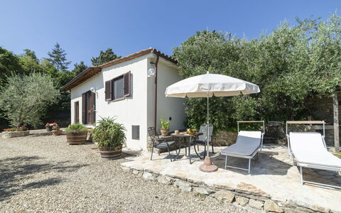 Olivo: Plante, Plantesamfund, Himmel, Bygning, Vindue, Træ, Skygge, Land Lot, Hus, Sommerhus