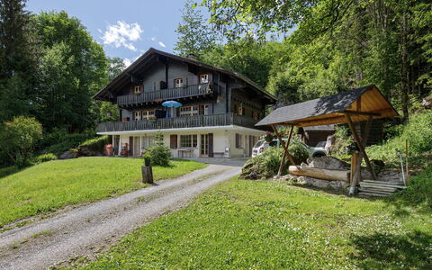 Les Diablerets 600: Træ, Hus, Hjem, Sommerhus, Landdistrikt, Menneskelig Bosættelse, Estate, Stuehus, Veranda, Lawn