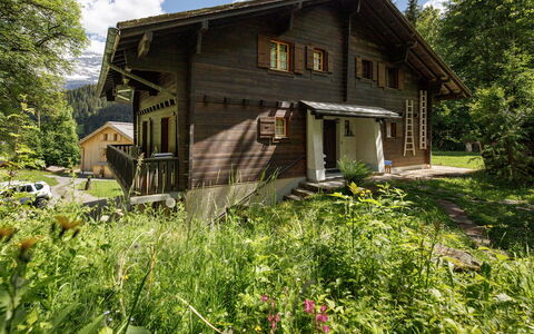 Les Diablerets 600: Bygning, Hus, Træ, Hjem, Sommerhus, Tag, Landdistrikt, Sidespor, Dør, Bjælkehytte