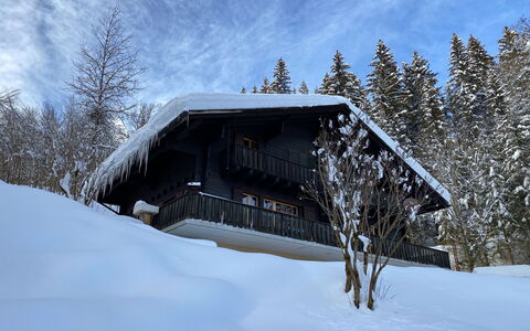 Les Diablerets 600: Himmel, Bygning, Sne, Sky, Træ, Plante, Hus, Hældning, Træ, Sommerhus