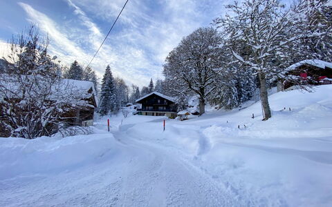 Les Diablerets 600: Sky, Himmel, Sne, Vindue, Bygning, Hældning, Plante, Træ, Terræn, Hus