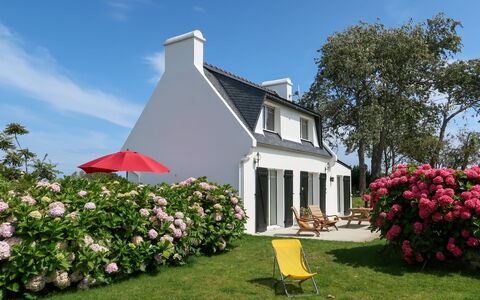 Ty Va Zud: Blomst, Himmel, Plante, Vindue, Bygning, Blad, Sky, Hus, Land Lot, Træ