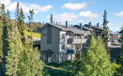 Rukatonttu D 14: Boligområde, Hjem, Estate, Forstad, Lærk, Gård, Pine Family