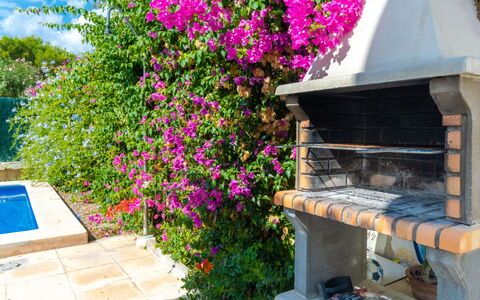 Lilly: Blomst, Ejendom, Plante, Hus, Bougainvillea, Hjem, Ejendom, Etårig Plante, Magenta, Busk
