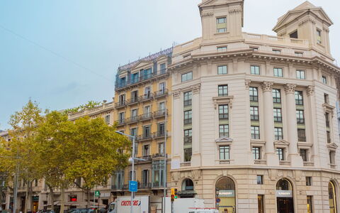 Centro: Passeig de Gracia - Casa Batllo: Hjul, Bygning, Himmel, Vindue, Bil, Urban Design, Træ, Boligområde, Kvarter