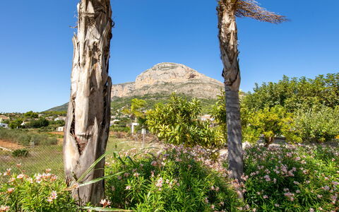 Villa Finca Labranza: Vegetationen, Træ, Ødemark, Naturligt Miljø, Naturreservat, Plantesamfund, Plante, Biome, Rots, Botanik