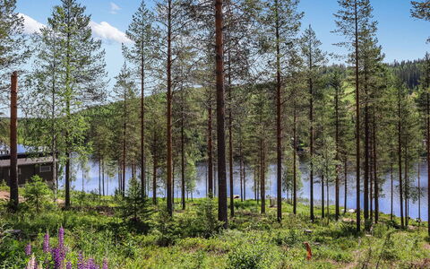 Tunturimaja 2 Mökki: Træ, Hus, Sne, Sommerhus, Hjem, Vinter, Tag, Fryser, Sidespor, Hældning