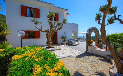 Villa Nerano: Blomsterkrukke, Hacienda, Landscaping, Estate, Have, Stueplante, Villa, Gård