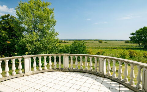 Zichy: Sky, Himmel, Plante, Træ, Hegn, Naturlige Landskab, Land Lot, Vegetationen, Træ, Græs