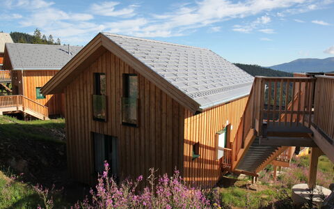 Klippitzrose: Plante, Himmel, Sky, Ejendom, Bygning, Træ, Vindue, Arkitektur, Land Lot, Blomst