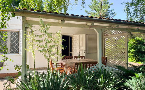 Kiwi: Have, Busk, Skygge, Backyard, Udendørs Struktur, Garden Bygninger, Veranda, Gård, Udendørs Møbler