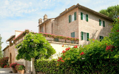 Villa Asciolo: Plante, Busk, Ejendom, Hus, Bygning, Ejendom, Blomsterkrukke, Boligområde, Have