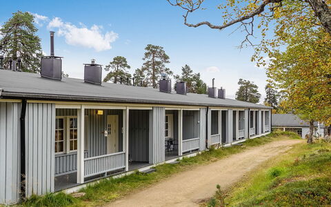 Saariseläntie 8 a 1: Træ, Sommerhus, Bjælkehytte, Skov, Skur, Garden Bygninger, Lærk, Woodland, Bejdse