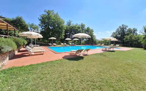 Agriturismo L'incrociata: Svømmepøl, Udvej, Eco Hotel, Hacienda, Estate, Villa, Have, Landscaping, Skygge, Hotel