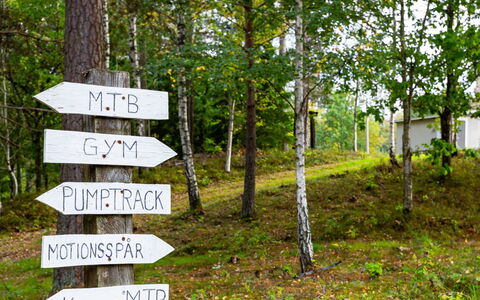 Aspenäs: Plante, Plantesamfund, Naturligt Miljø, Træ, Naturlige Landskab, Afdeling, Land Lot, Træ, Biome, Græs
