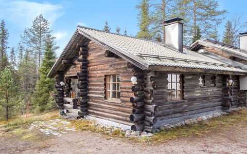 Vuosselin Kuukkeli: Træ, Sommerhus, Tag, Hus, Hjem, Sidespor, Bjælkehytte, Lærk, Hældning, Hytte