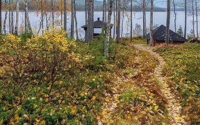 Lomaväinö 13