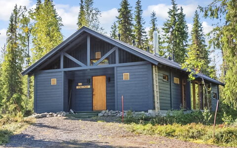 Sinikuono: Træ, Sommerhus, Bjælkehytte, Skov, Skur, Garden Bygninger, Lærk, Woodland, Bejdse
