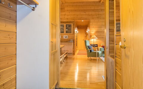 Sinikuono: Træ, Sommerhus, Bjælkehytte, Skov, Skur, Garden Bygninger, Lærk, Woodland, Bejdse