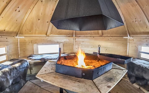 Sinikuono: Træ, Sommerhus, Bjælkehytte, Skov, Skur, Garden Bygninger, Lærk, Woodland, Bejdse
