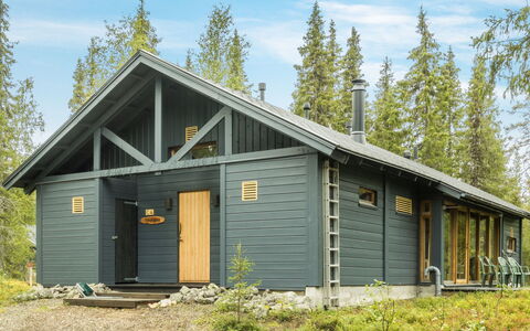 Sinikuono: Træ, Sommerhus, Bjælkehytte, Skov, Skur, Garden Bygninger, Lærk, Woodland, Bejdse