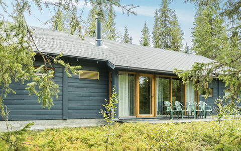 Sinikuono: Træ, Sommerhus, Bjælkehytte, Skov, Skur, Garden Bygninger, Lærk, Woodland, Bejdse