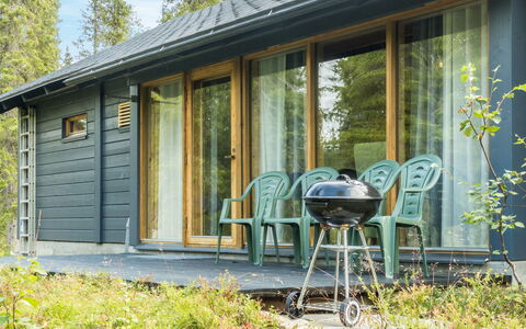 Sinikuono: Træ, Sommerhus, Bjælkehytte, Skov, Skur, Garden Bygninger, Lærk, Woodland, Bejdse